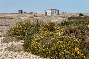 Old shacks and boats on Dungeness beach