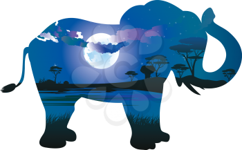 Colorful night scene, african landscape with silhouette of trees and elephant.