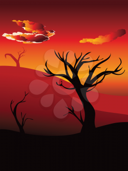 Colorful sunset scene, african landscape with silhouette of trees.