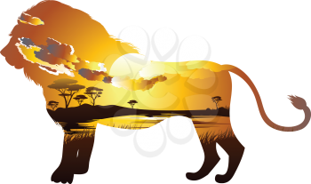 Colorful sunset scene, african landscape with silhouette of trees and lion.