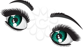 Female eyes of emerald color with long eyelashes and black eyebrows.