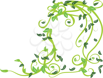 Illustration of abstract green floral ornament on white background.