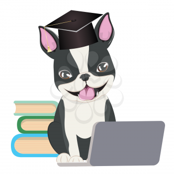 Cute cartoon dog, Boston Terrier wear graduation cap with laptop.
