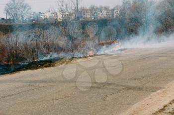 Burning dry grass in smoke and fire, early spring.