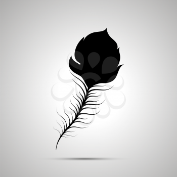 Peacock feather silhouette, simple black icon with shadow