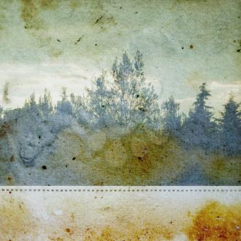 Discolorated vintage photograph of trees in a forest on stained paper background. Abstract illustration.