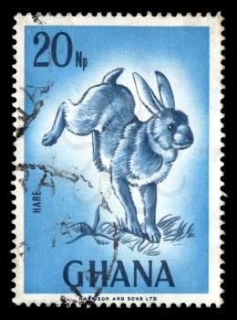 GHANA - CIRCA 1974. Vintage canceled postage stamp with wild rabbit illustration circa 1974.