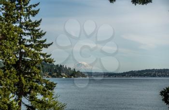 Mount Rainier can be seen in the distance with Lake Washington  in the foregrund. Mercer Island is on the left. Shot taken at Seward Park.