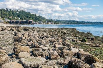 The shoreline of West Seattle, Washington at low tide on a sunny day.