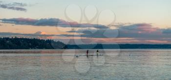 Two paddle boarders move across the Puget Sound at sunset with Mount Rainier in the distance.