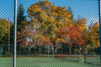 A view of Autumn trees througth teenis cour fences.