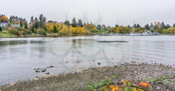 A view of a marina along Lake Washington in Seattle. It is autumn.
