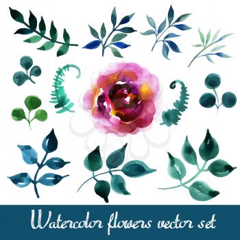 Set of beautiful watercolor flowers and leaves on a white background for your design. For spring cards, invitations for a summer wedding. Lovely floral elements to save the date cards