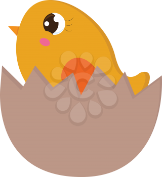 Yellow chick in an egg shell vector illustration on white background.