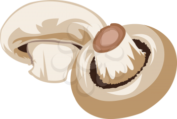 Light brown mushrooms vector illustration of vegetables on white background.