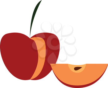 Red apple with a slice illustration print vector on white background