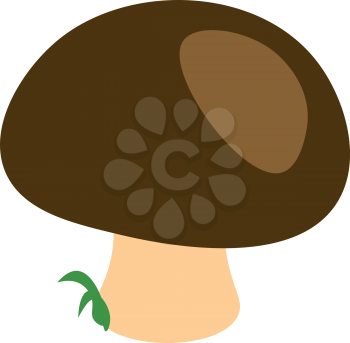 A mushroom with a giant green top and a green plant by its side vector color drawing or illustration