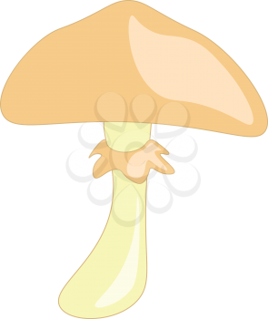 An umbrella shaped fungi known as mushroom vector color drawing or illustration