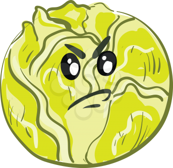 Angry cartoon green cabbage vector illustration on white background