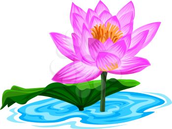 Vector illustration of fresh lotus flower in lake.
