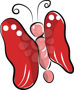 Butterfly with red wings vector or color illustration