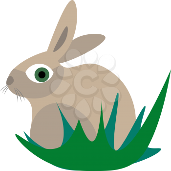 Rabbit illustration vector on white background 