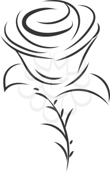 Simple black and white sketch of rose flower  vector illustration on white background