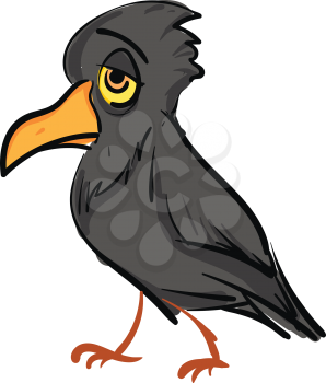 Sad grey crow  vector illustration on white background