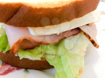 fresh turkey ham sandwich cheese lettuce on white plate