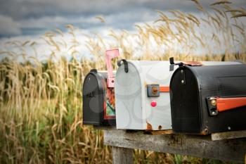 Tree postal boxes in a at the edge of a field