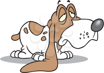 Royalty Free Clipart Image of a Bassett Hound
