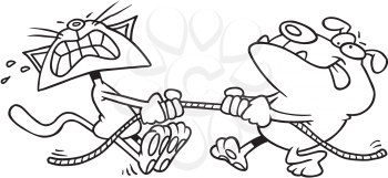 Royalty Free Clipart Image of a Tug of War Between a Dog and a Cat