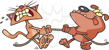 Royalty Free Clipart Image of a Tug of War Between a Cat and a Dog