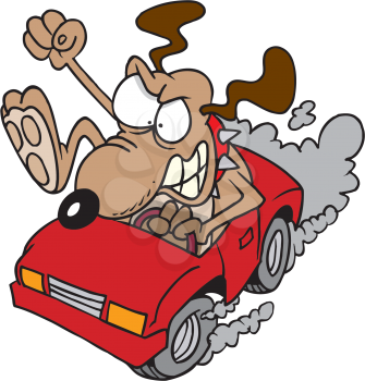 Royalty Free Clipart Image of an Angry Dog Driving a Car