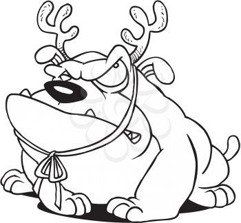 Royalty Free Clipart Image of an Angry Bulldog Wearing Reindeer Antlers