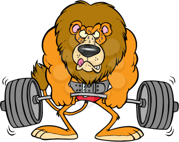 Royalty Free Clipart Image of a Lion Lifting Weights