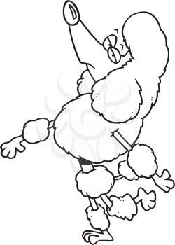 Royalty Free Clipart Image of a Snobby French Poodle