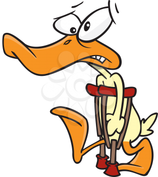 Royalty Free Clipart Image of a Duck on Crutches