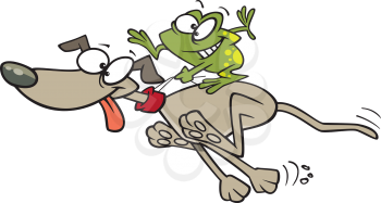 Royalty Free Clipart Image of a Frog Riding a Dog