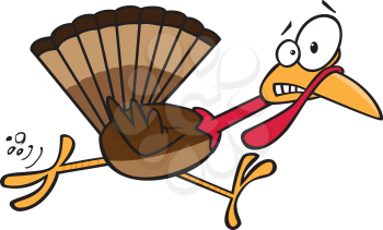 Royalty Free Clipart Image of a Frightened Turkey on the Run