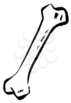Royalty Free Clipart Image of a Bone