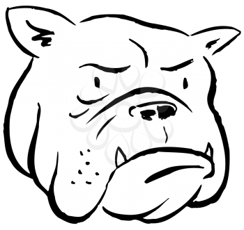 Royalty Free Clipart Image of a Bulldog's Face