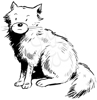 Royalty Free Clipart Image of a Fluffy Cat