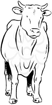 Royalty Free Clipart Image of a Cattle Beast