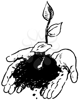 Royalty Free Clipart Imgae of Hands Holding a Plant