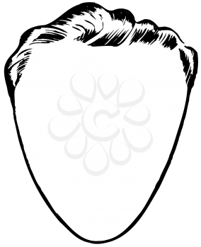 Royalty Free Clipart Image of a Blank Man's Face With a Narrow Chin