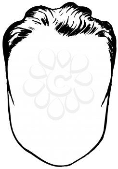 Royalty Free Clipart Image of a Man's Blank Face and Wavy Hair