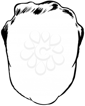 Royalty Free Clipart Image of a Blank Face