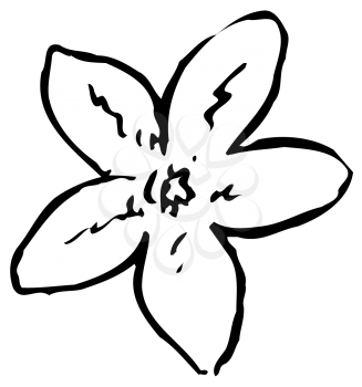 Royalty Free Clipart Image of a Flower Blossom