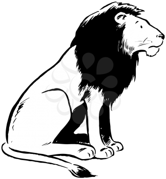 Royalty Free Clipart Image of a Side View of a Lion